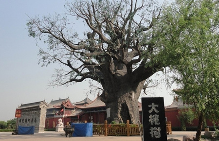 水泥仿真大槐树